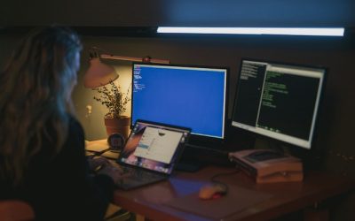 Waar voldoet een goede online beveiliging uit?